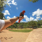 Turista disfruta de Faunaland en Scape Park Dominican Republic